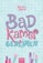 Cover 'Bathroom Secrets'