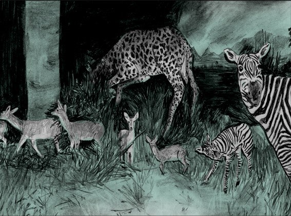 Animals. © WARD ZWART